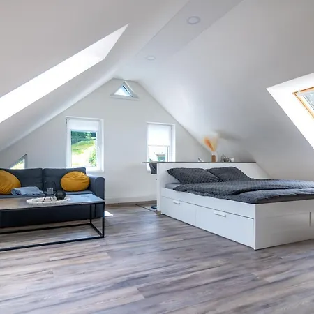 Apartmán Janov *